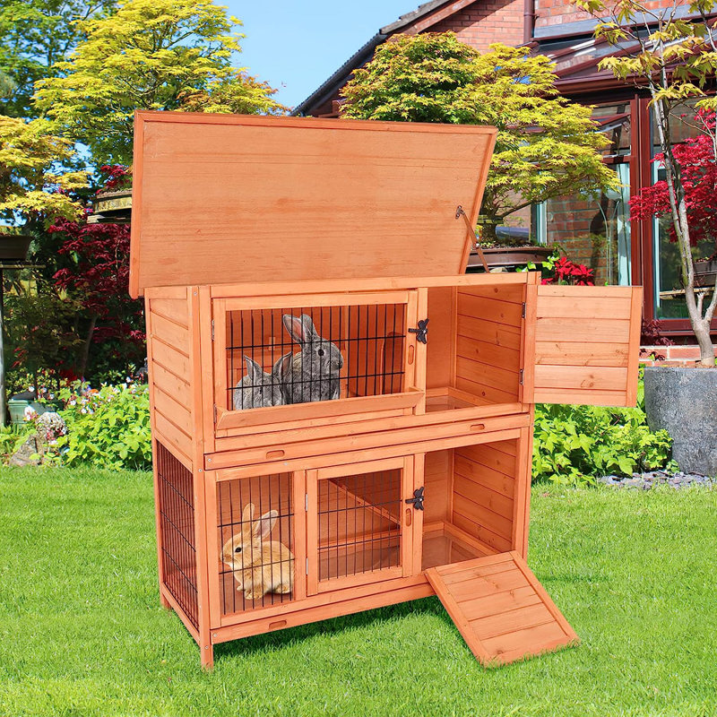 Tucker Murphy Pet™ Davlynn Small Animal Hutch Wayfair